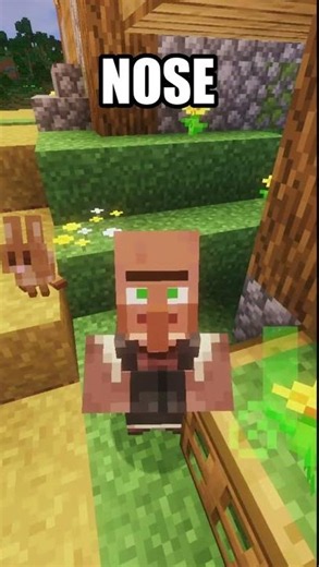 What are Minecraft Villagers? #minecraft