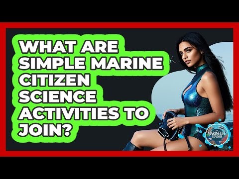 What Are Simple Marine Citizen Science Activities To Join?