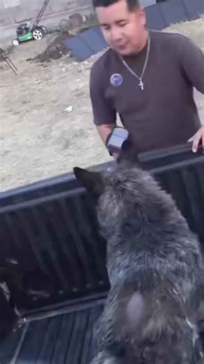 Gamer sobrevive con energía solar #Vlog #EnergiaSolar #Gamer #setups