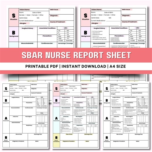 SBAR Nurse Report Sheet | Med Surg Brain Sheet | PDF - Etsy