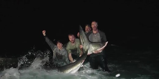 Anglers catch 13-foot great white shark along Florida beach