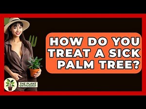 How Do You Treat A Sick Palm Tree? - The Plant Enthusiast