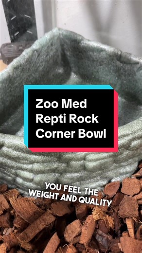 Zoo Med Repti Rock Corner Bowl Review: Best Reptile Dish?