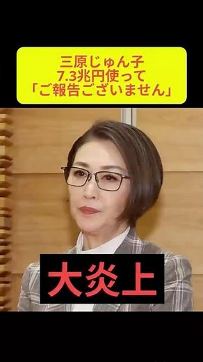 Junko Mihara of the Children and Families Agency says 7.3 trillion yen was spent but "no report" ...
