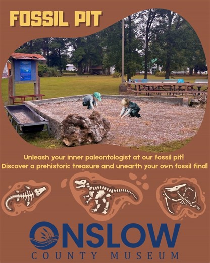 Happy National Fossil Day! Today we’re celebrating millions of years of history preserved right beneath our feet! National Fossil Day is all about recognizing the importance of fossils and the clues they give us about life long before humans walked the Earth. From ancient seas to prehistoric forests, fossils help us piece together the amazing story of our planet’s past. Right here in Onslow County, you don’t have to travel far to explore that history! The Onslow County Museum features local foss