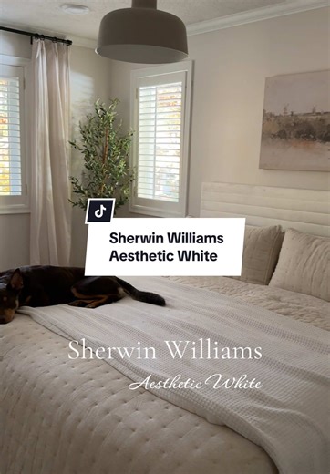 Transform Your Bedroom with Aesthetic White Paint
