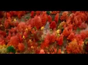 Pure Michigan Fall "Trees"