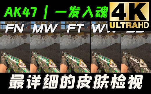 【CS2】全网首发！AK47 | 一发入魂 全部磨损游戏中检视/崭新/略磨/久经/破损
