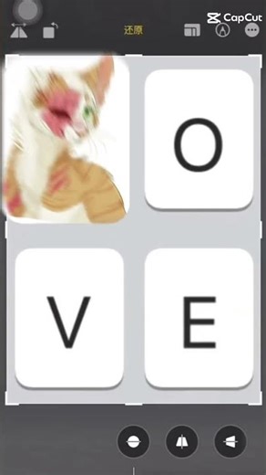 brightheart x cloudtail #warriorcats