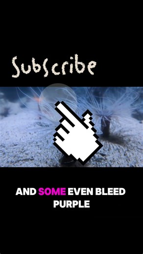 🥇 Not All Blood Is Red… Some Animals Bleed Blue, Green, and Purple 😱🩸