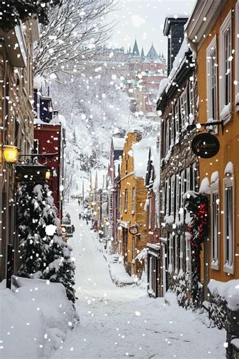 80K views · 7.6K reactions | #winterwonderland #wintervibes | The magic of christmas | Facebook