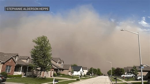 'Wall of dust': Video, images capture wild dust storms in Illinois as warnings issued