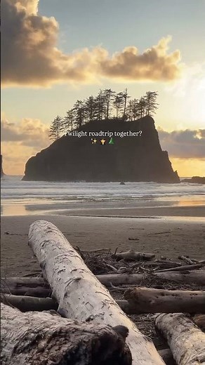 🧛‍♂️ Share this with a Twilight fan for your next trip idea! ✨ Forks, Washington is famous for