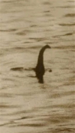 La photo qui a fait croire aux monstre du Loch Ness