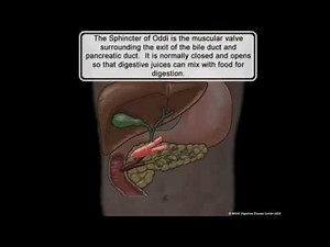 MUSC DIGESTIVE DISEASE CENTER: Sphincter of Oddi Dysfunction