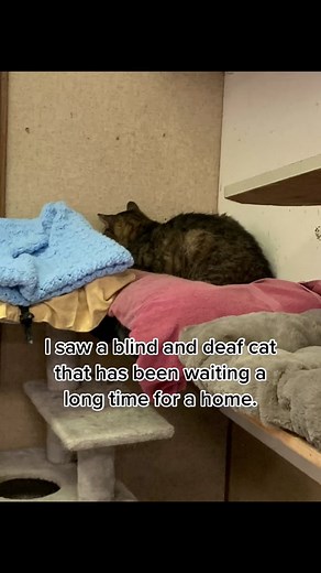 Honoring Gramps with the Arrival of Charlie