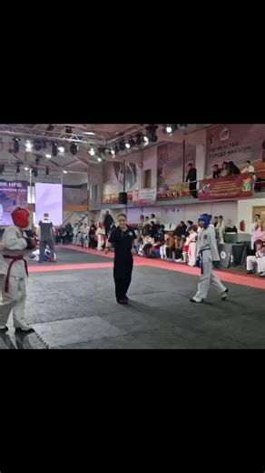 Hand-to-Hand Combat and Wrestling Techniques