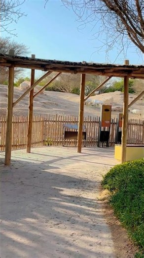 Multiple Animals Adventure at Al Ain Zoo 🐾 #AlAinZoo #Wildlife #Shorts #Trending