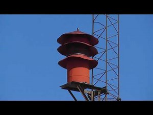 Fedelcode Mystery Siren | Daily Blast | Botkins, OH | 2/29/20