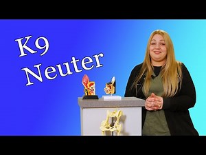 Canine Neuter Walkthrough