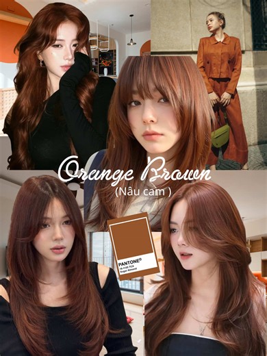 Các bà đã tìm thử màu tóc hợp mệnh của mình chưa ? #mautocdep #tiemtocnhuommotlan #vothuanhairsalon #mautoc2026