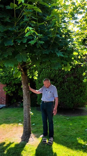 Understanding the Tree of Life: A True Story