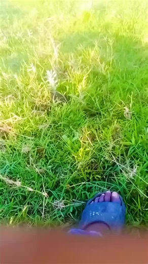 kidboy (@sheriffkidboy)’s videos with Home - Machine Gun Kelly & X Ambassadors & Bebe Rexha