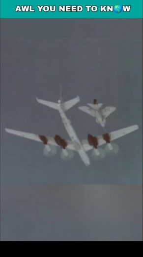 When a Single British Jet Intercepted 80 Soviet Tu-16 And Tu-95 Bombers