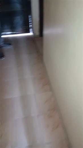 Coast of Mombasa Highlights