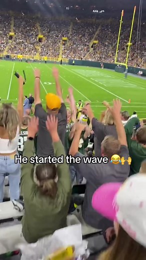 Stadium Crowd Wave Compilation