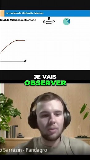 Comprendre Michaelis-Menten: Enzymes et réactions!