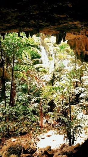 Sunlight And Forest Within Phraya Nakhon Cave