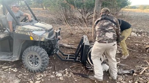 The Ox Rack on Instagram: "can do it all! The Ox Rack was built to be pushed to the limit! DM us video of YOUR Ox Rack today! @polarisorv Ranger 1000– Model 2018+☝️ 📷— @guideslifetv Purchase an Ox Rack today! Visit www.theoxrack.com - - - - - - - #theoxrack #zebra #zebrastrong #brushcountry #southtexas #rifle #ranger #hunting #africa #southtexashunting #bowhunting #highcountrybucks #deerseason #texashunter #wildlife #huntinglife #texas #dirtnap #outdoors #hunttexas #groundtogo #madeinusa #utv #