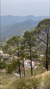 hasi wadiya/ phado ka kya kehna