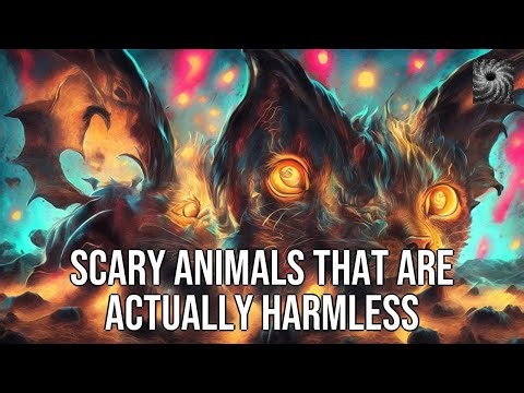 Scary Animals That Are Actually Harmless