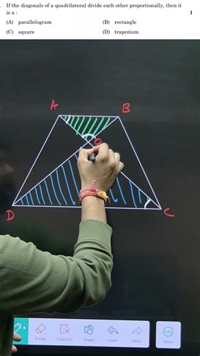 #class10maths #triangles #important #pyq