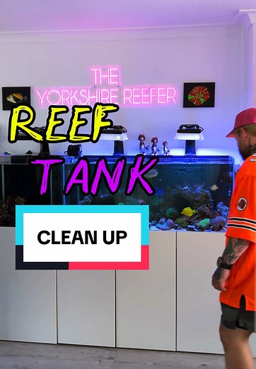 Saltwater Aquarium Clean Up 🪸 #reeftank #saltwateraquarium #fishtank #aquariummaintenance #aquarium