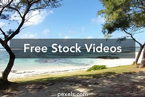 Eden Videos, Download The BEST Free 4k Stock Video Footage & Eden HD Video Clips