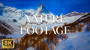 What the World Looks Like When We Just Watch – 4K Nature Footage