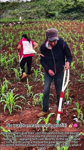 Backpack Fertilizer Feeds Corn at Roots! 🌽💪