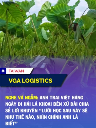 Nghe và ngẫm: tin tức Đài Loan dành cho người Việt
