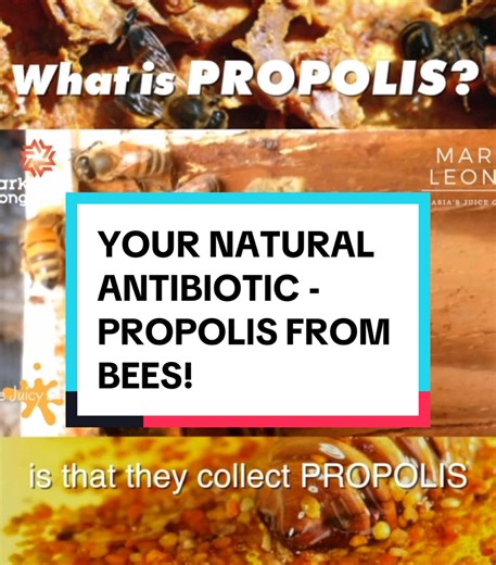 What is Propolis and the benefits? Watch this to find out now! #drmarkleong #farmzasia #health #foodsafety #honey #nutrition #painrelief #propolis