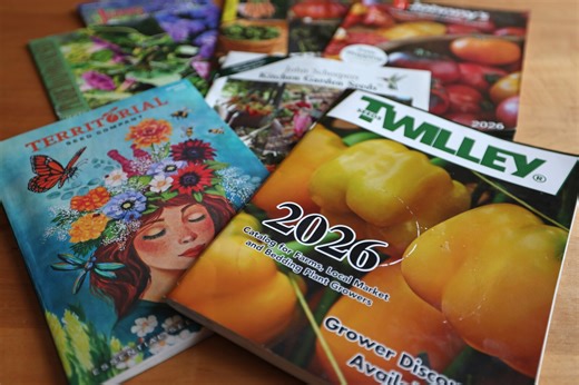 Best new vegetable varieties for 2026