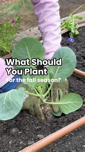 105K views · 477 reactions | The answers to all of these are.... it...