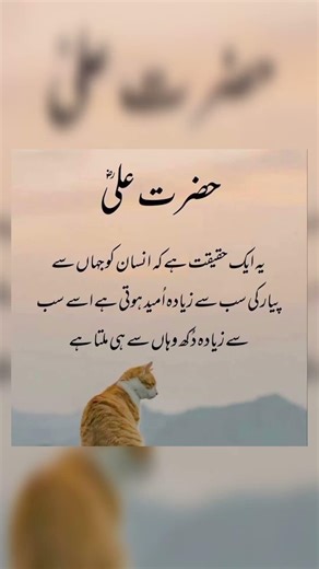 حضرت مولا علی شیرِ خدا فاتحِ خیبر رضی اللہ تعالیٰ عنہ کا فرمانِ مبارک ہے کہیہ حقیقت امید اور نظریے ۔