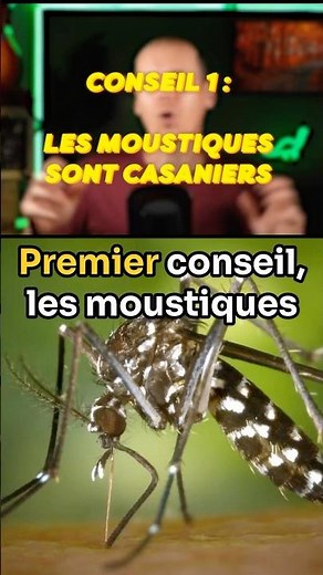 How to get rid of mosquitoes effectively? #mosquitoes #tips #health #ecology