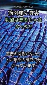 66. 運動後の筋肉痛、本当の犯人はコレだった！😨【科学が解明】 #筋肉痛 #運動 #健康 #フィットネス #科学 #体 #トレーニング #乳酸 #DOMS