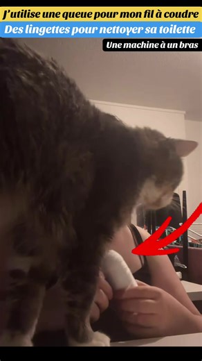 Morgane makeup utilise une queue pour faire de la couture #morganemakeupyt #morganemakeup #morganemakeupfyp #morganemakeupytb_780 #momomakeup