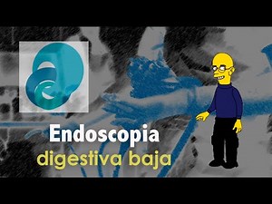 Endoscopia digestiva baja