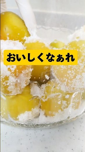 【梅干しレシピ】南高梅漬けました umebosi 簡単です 漬けようかどうしようか迷ってる方へ